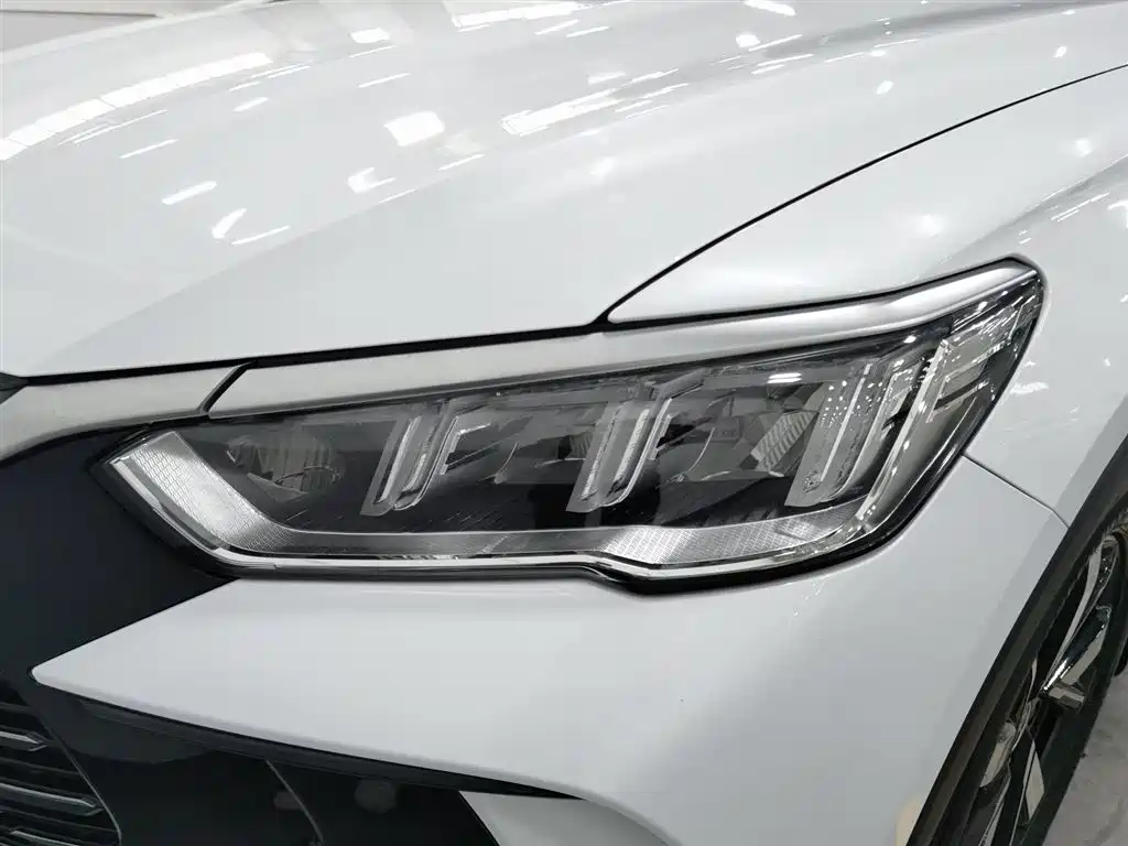 BYD SONGJIANG NEW ENERGY