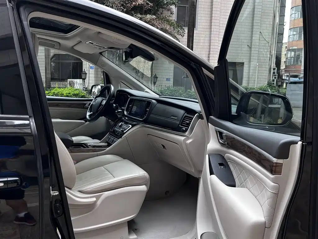 GAC Trumpchi Trumpchi M8 2018 320T Premium Edition фото 12