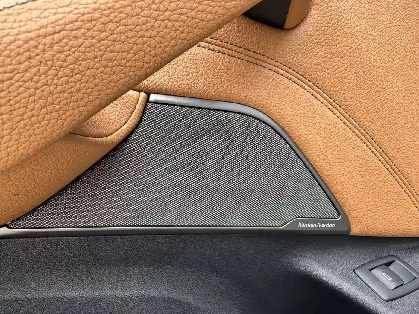 BMW 5 Series 2019 530Li Leading Luxury Package фото 11