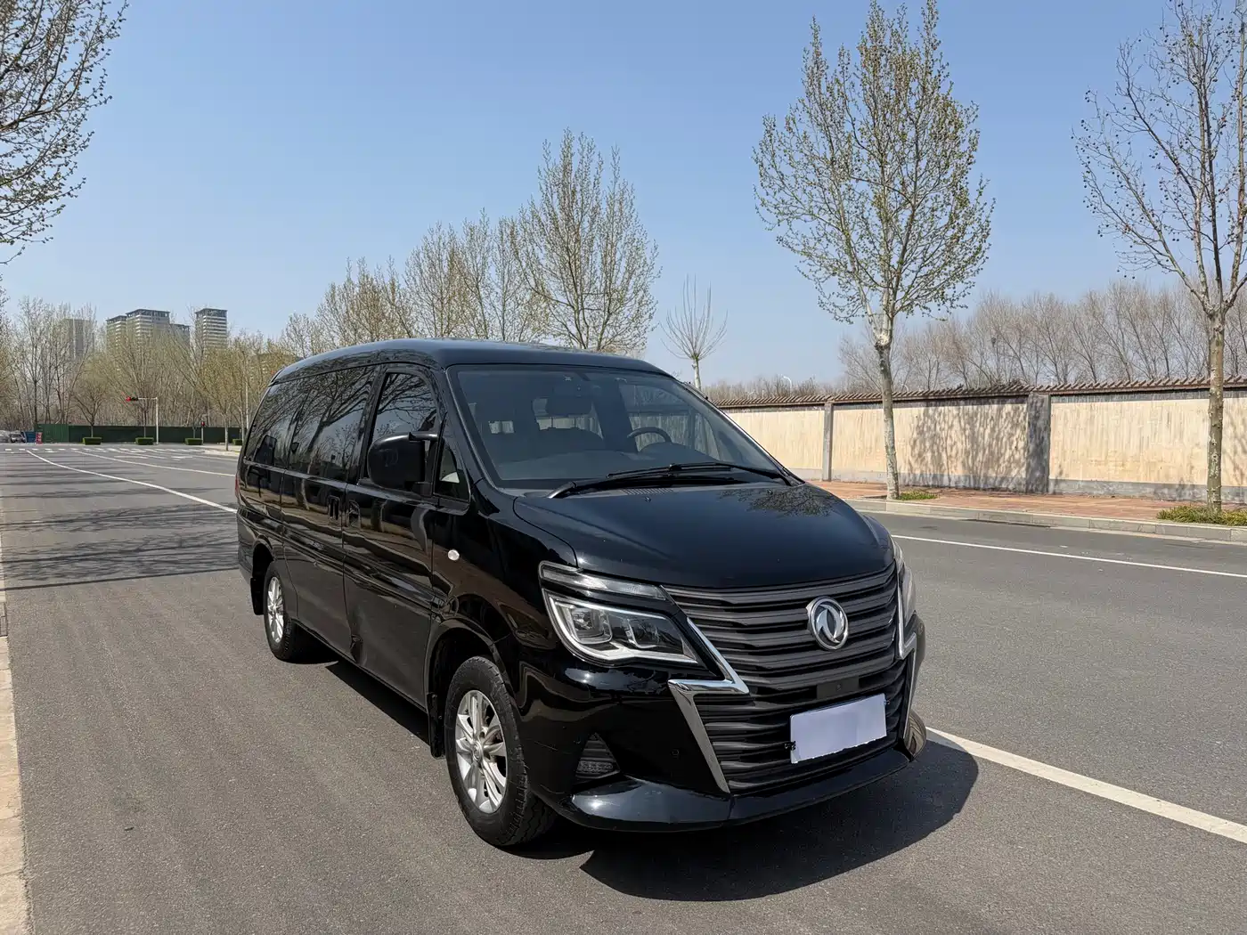 DONGFENG LINGZHI
