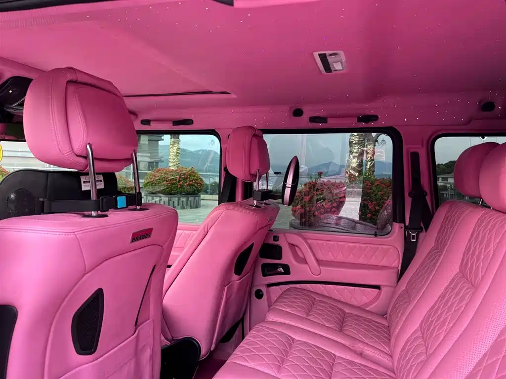 Mercedes-Benz G-Class 2015 G 500 Heavy Duty Edition фото 11