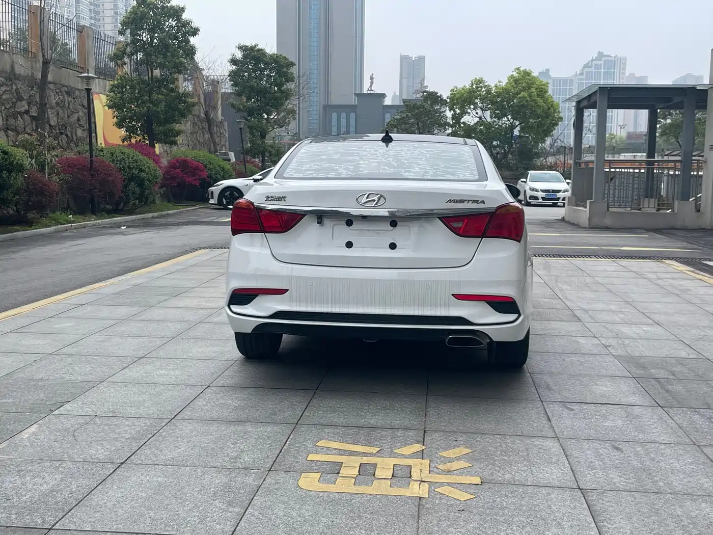 HYUNDAI NAME PICTURE