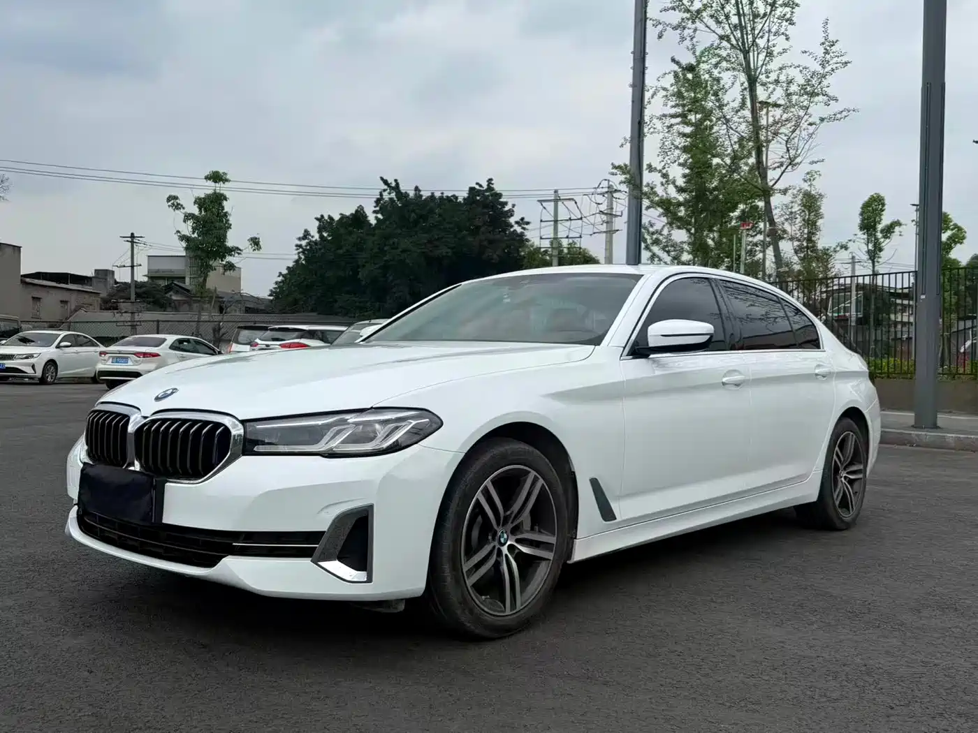 BMW 5 Series 2022 530Li Leading Luxury Package