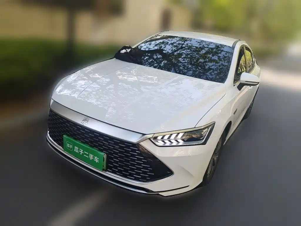 BYD Qin PLUS 2023 Champion Edition DM-i 55KM Leading