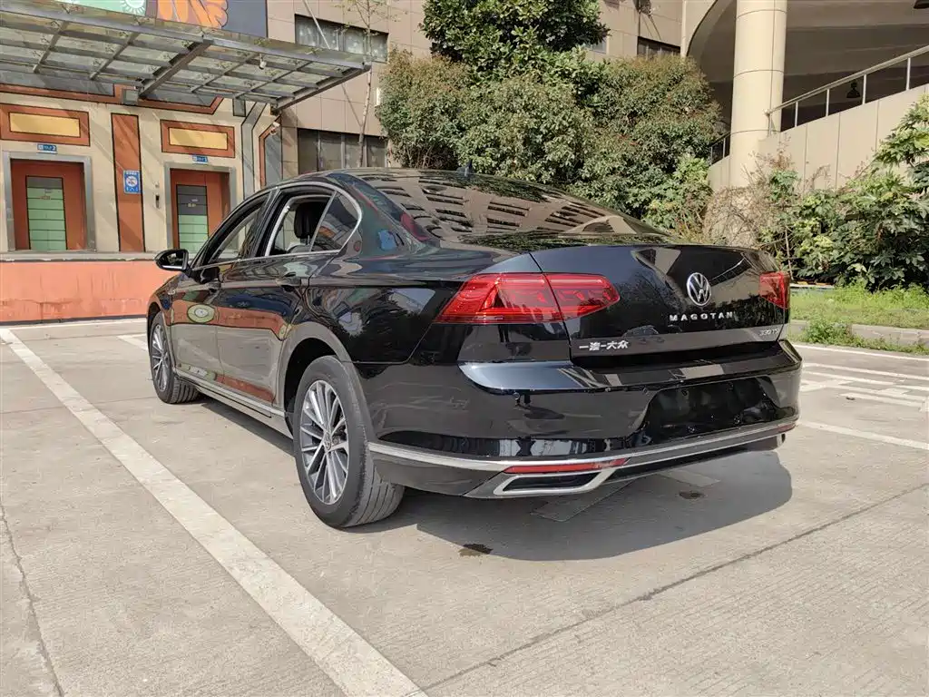 Volkswagen Magotan 2020 330TSI DSG Luxury фото 16