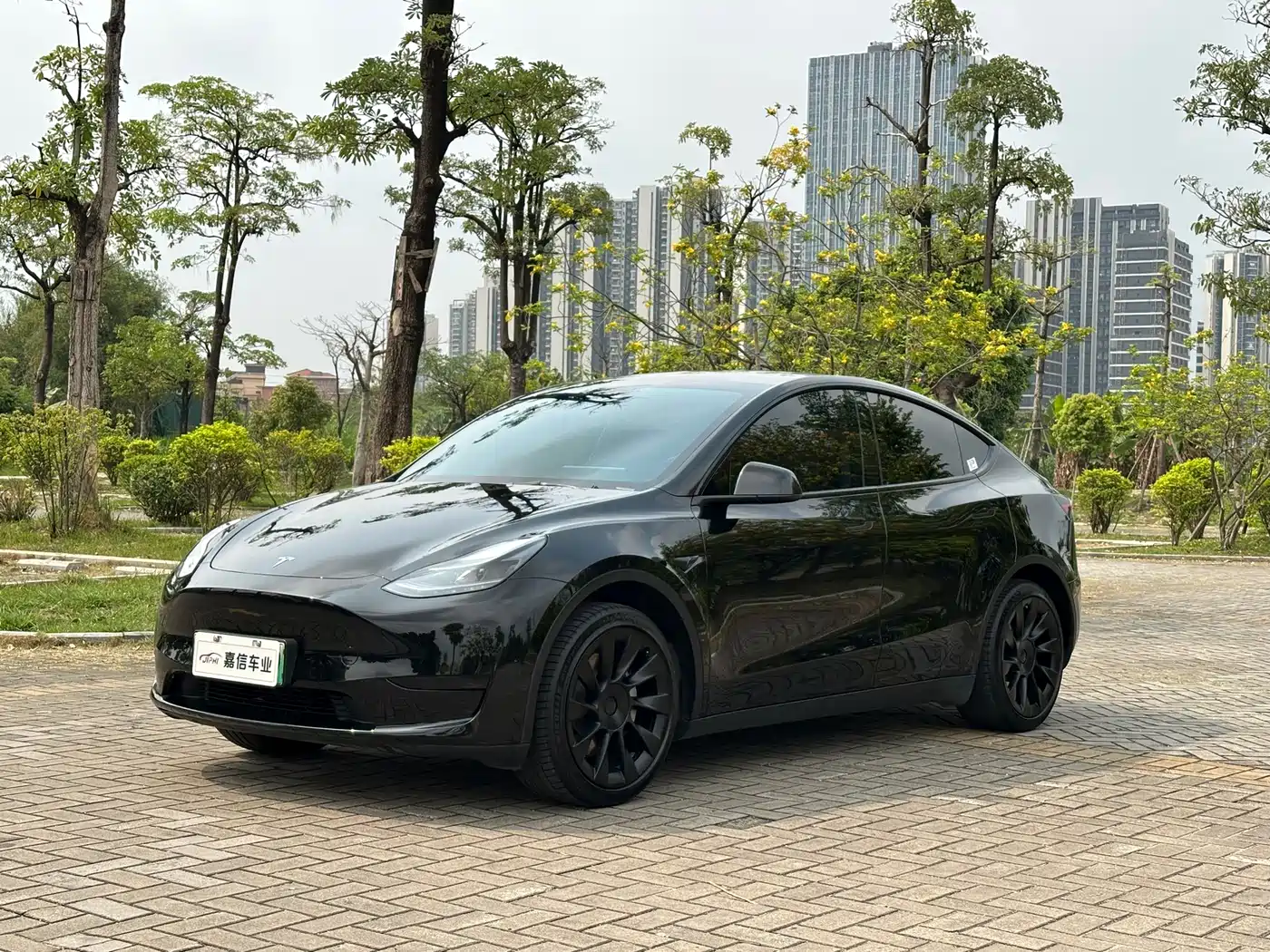 TESLA MODEL Y