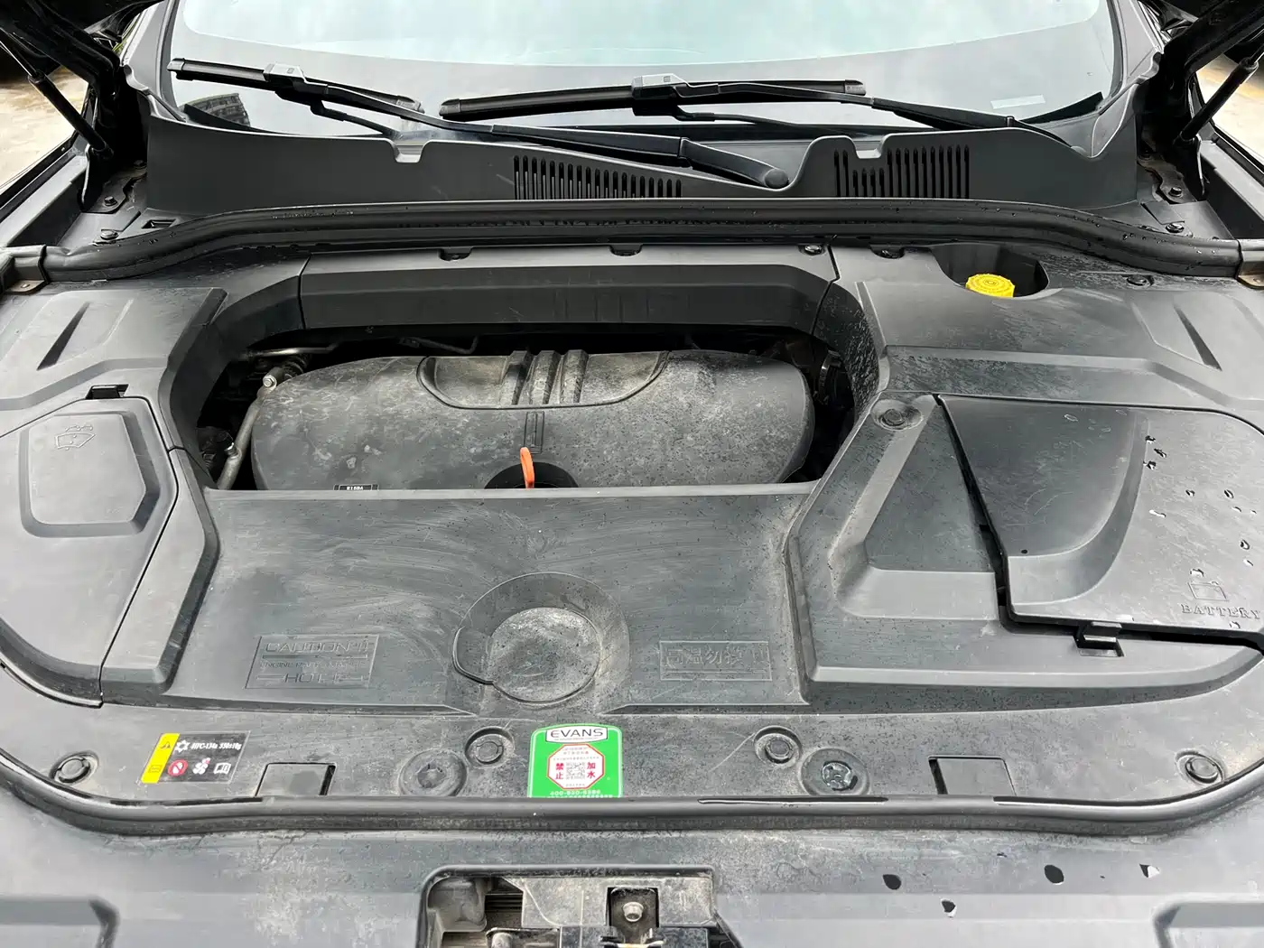 WEI PAI WEI BRAND VV5