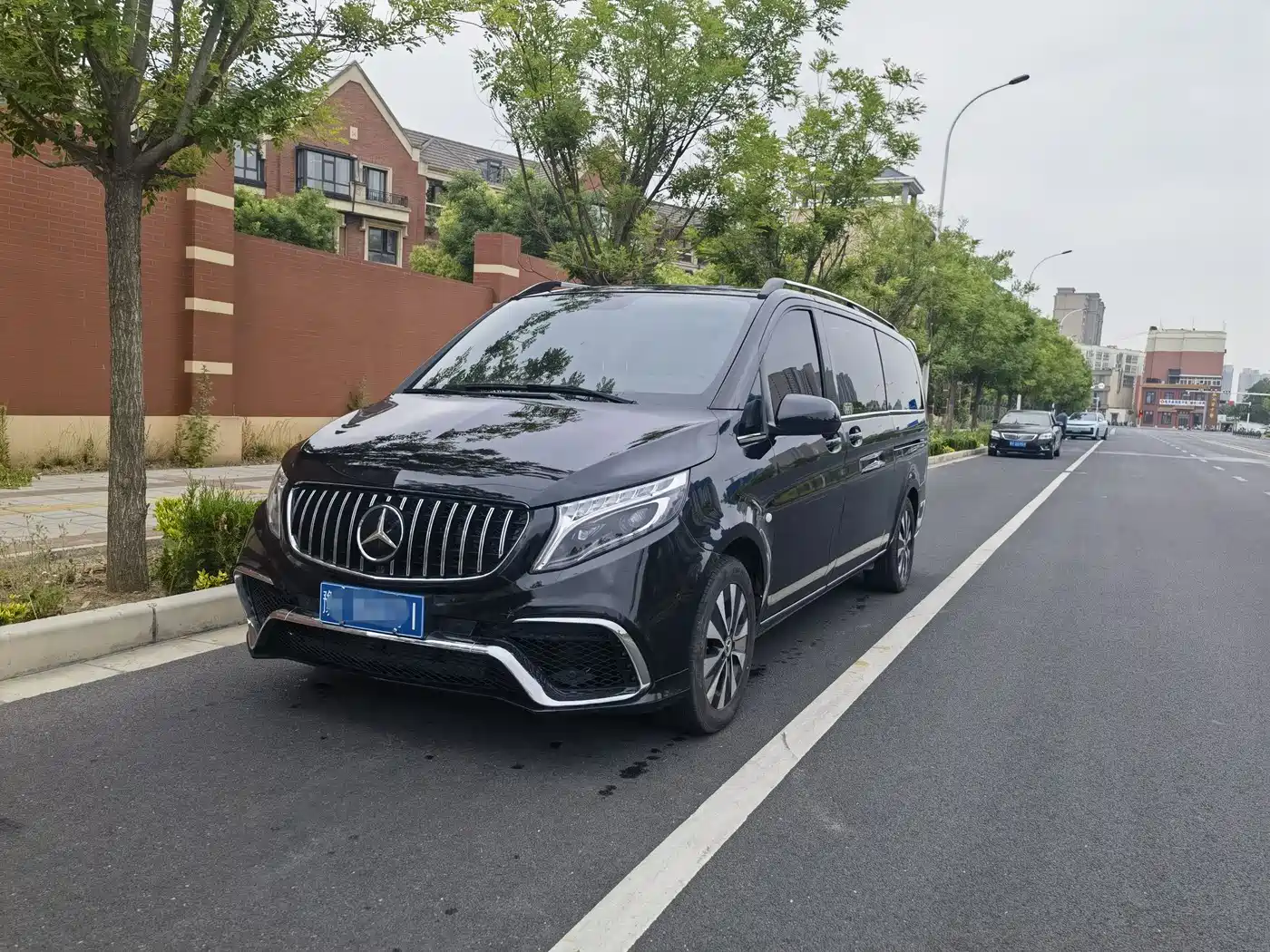 Mercedes-Benz Vito 2018 2.0T Business Edition China VI