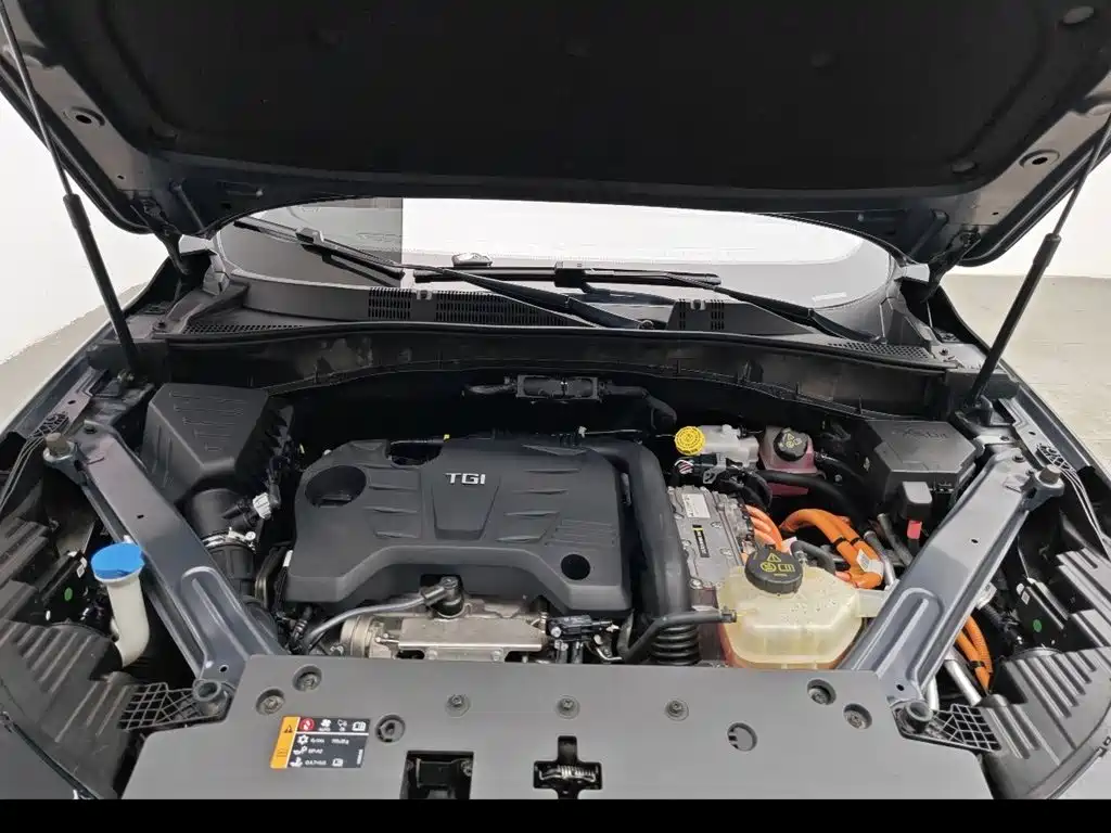 Roewe RX5 New Energy 2022 2021 Model ePLUS National Trend Ronglin Luxury Edition