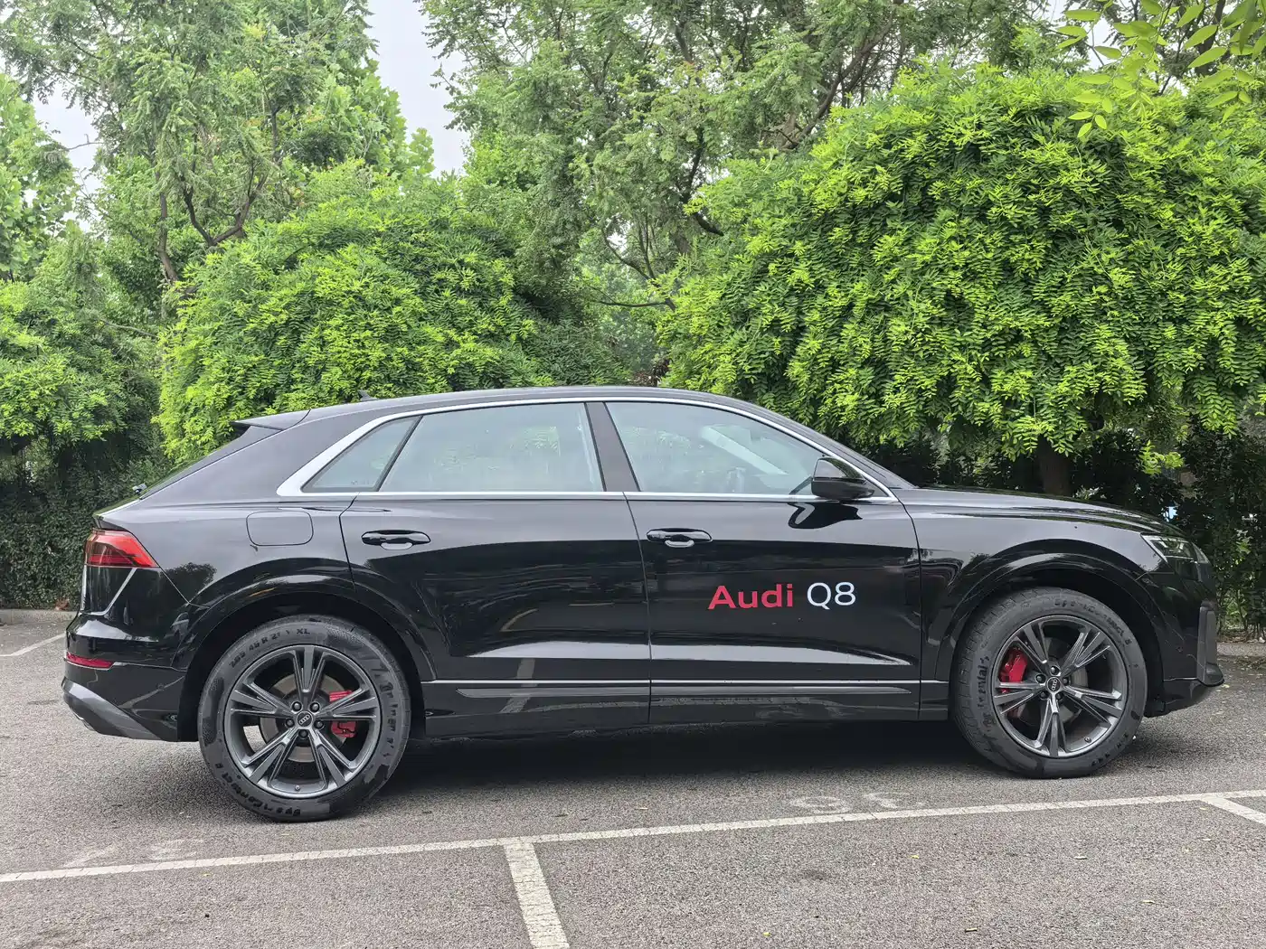 Audi Q8 2024 55 TFSI Luxury Sport фото 13
