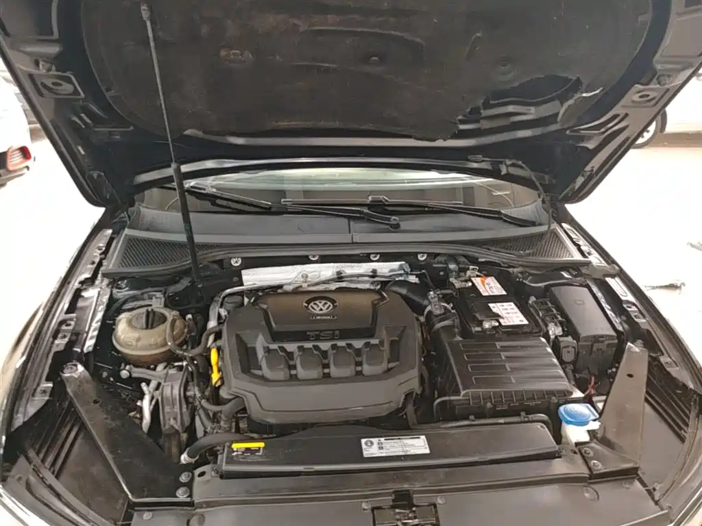 Volkswagen Magotan 2019 330TSI DSG Leading China V фото 20