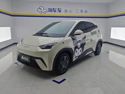 BYD Seagull