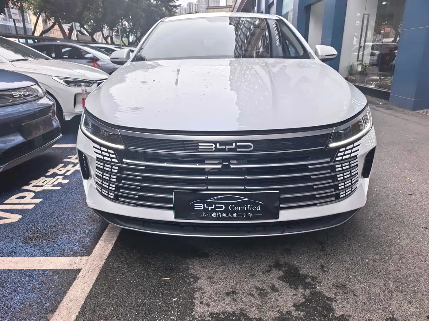 BYD Destroyer 05 2024 Glory Edition DM-i 120KM Luxury фото 2