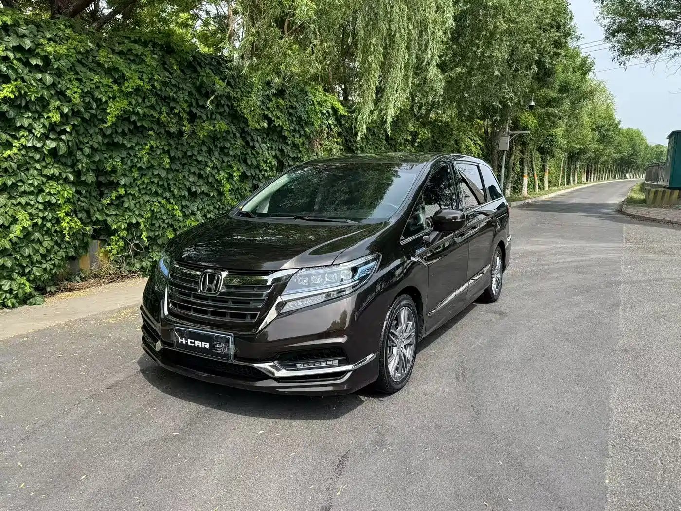 Honda Elysion 2019 2.0L Hybrid Luxury Edition