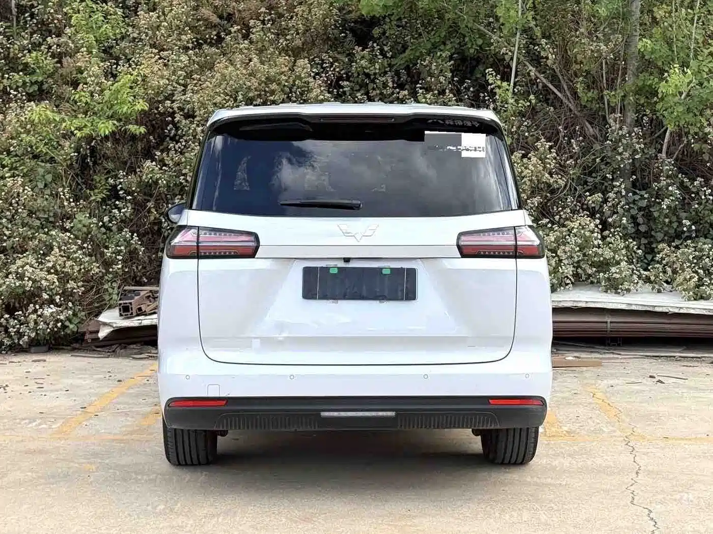 Wuling Motors Xingguang 730 New Energy 2025 2025 Model Pure Electric Base Version