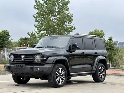 Tank 300