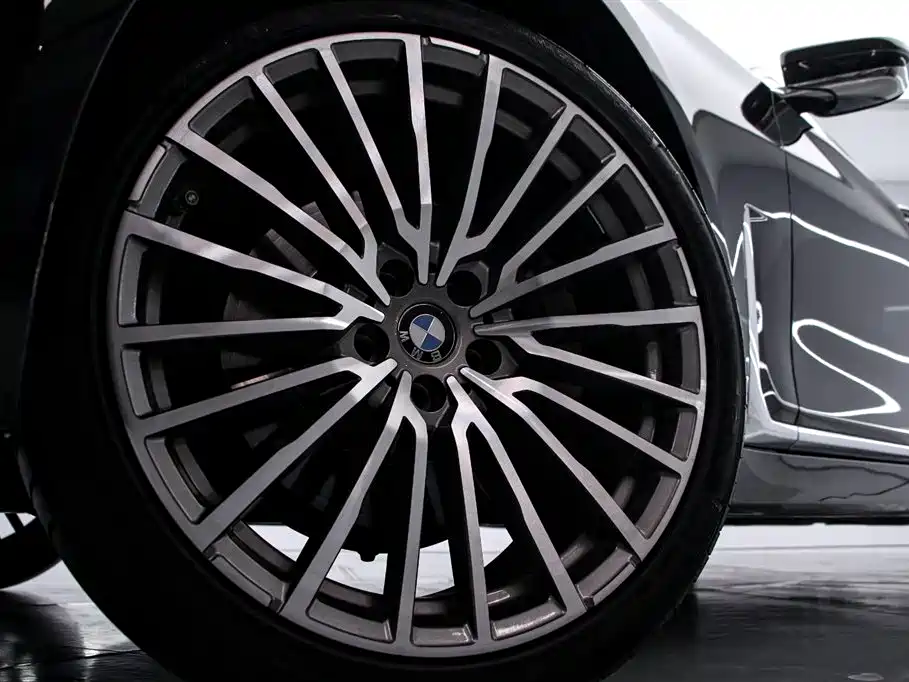 BMW 7 Series 2019 730Li Luxury Package фото 16