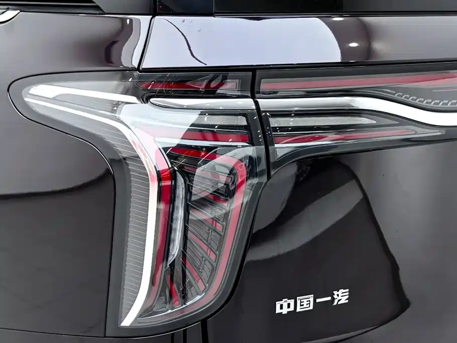 Hongqi HQ9 PHEV 2024 Model 2.0T AWD Luxury Edition фото 11
