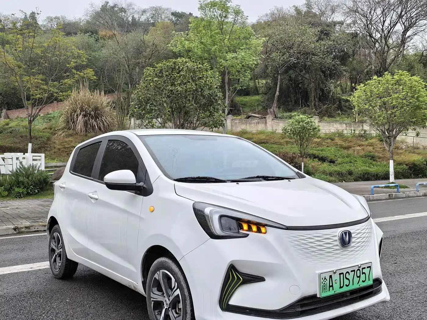 CHANGAN BENBEN E STAR