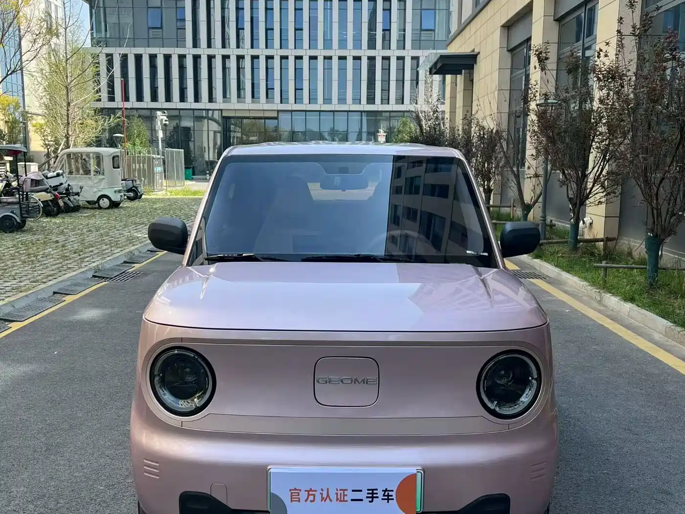 Geely Galaxy Panda 2023 2024 Panda mini 200km Endurance Bear