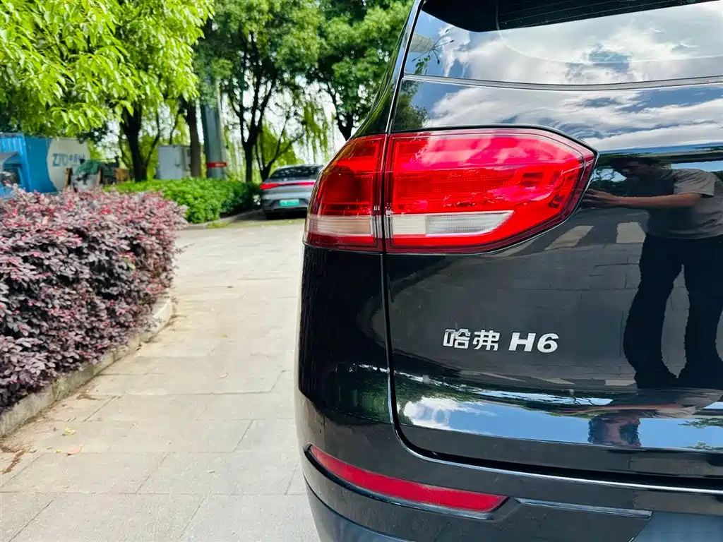 Haval H6 2021 1.5GDIT Automatic Champion Edition фото 12