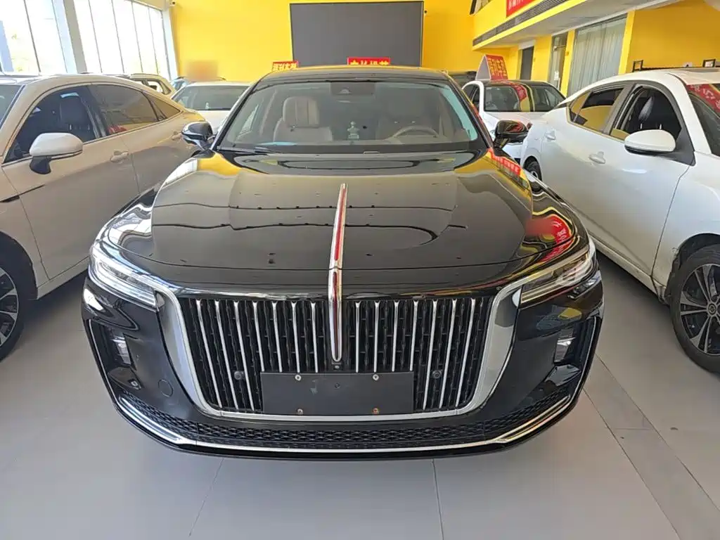 Фото 3 - Hongqi H9