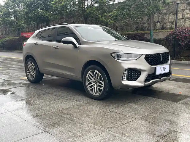 WEI PAI WEI BRAND VV5