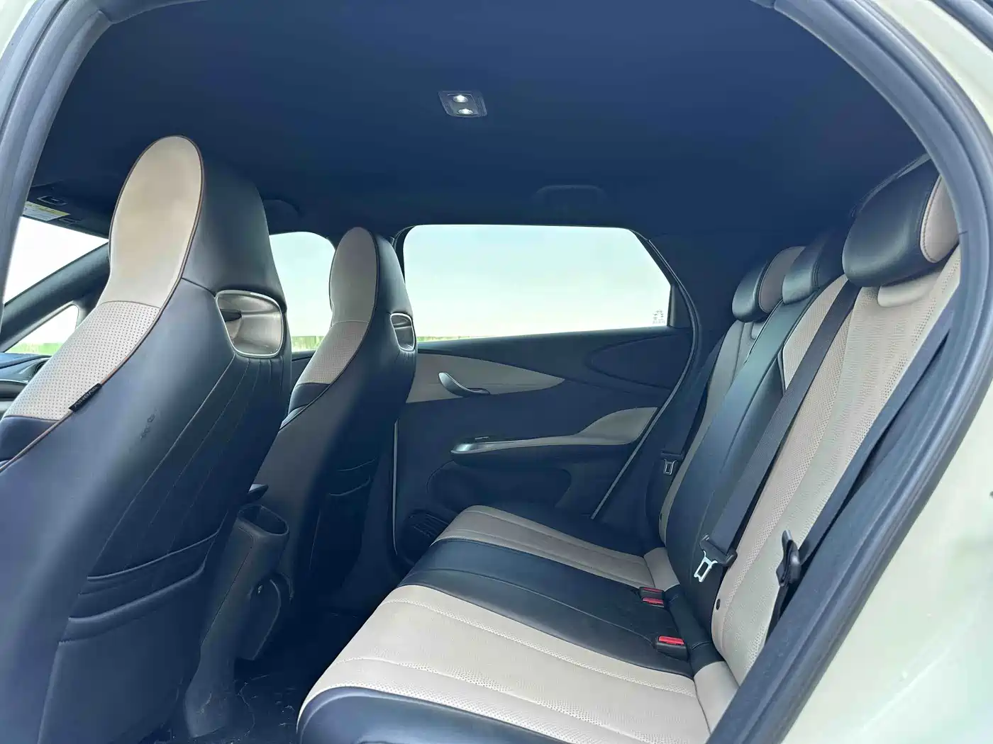 2026 BYD Dolphin