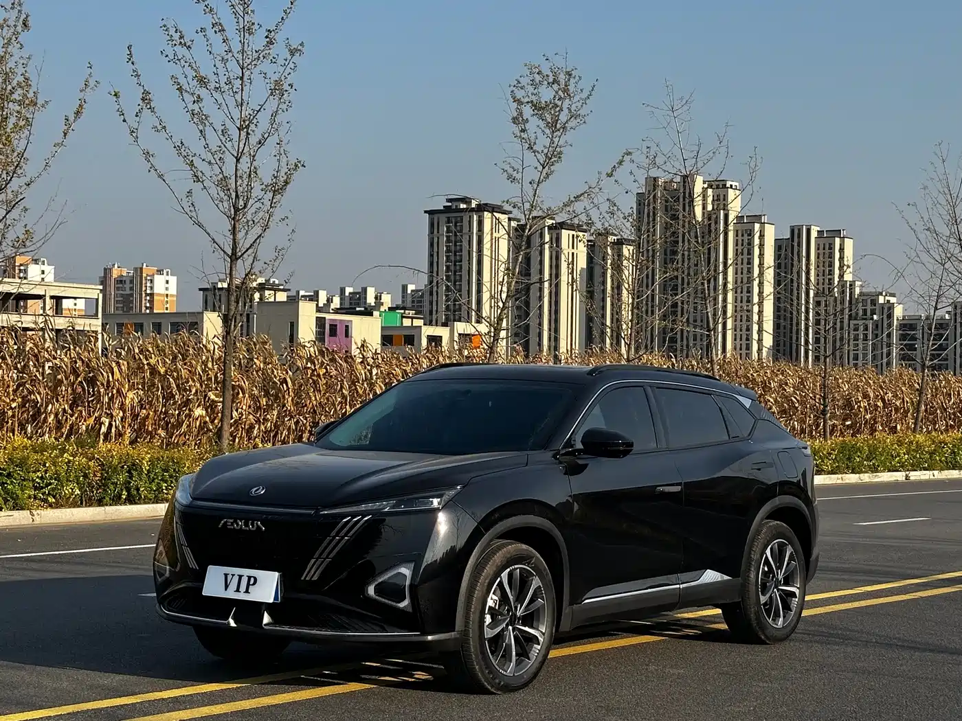 Dongfeng Aeolus Haohan 2024 2023 DH-i 1.5T Flagship Edition