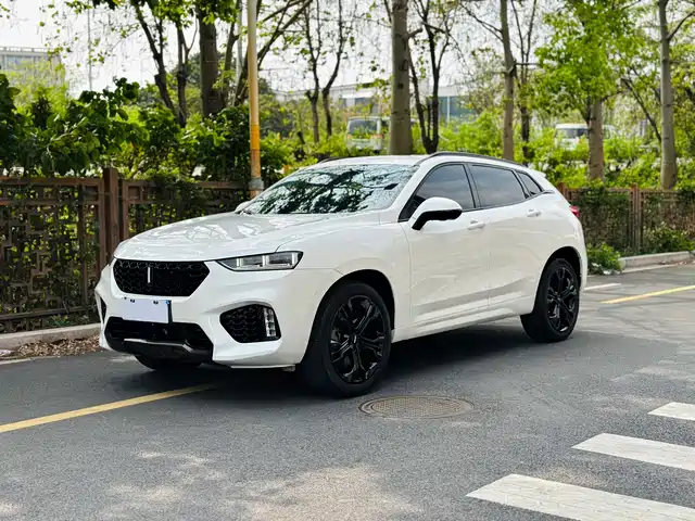 WEI PAI WEI BRAND VV7