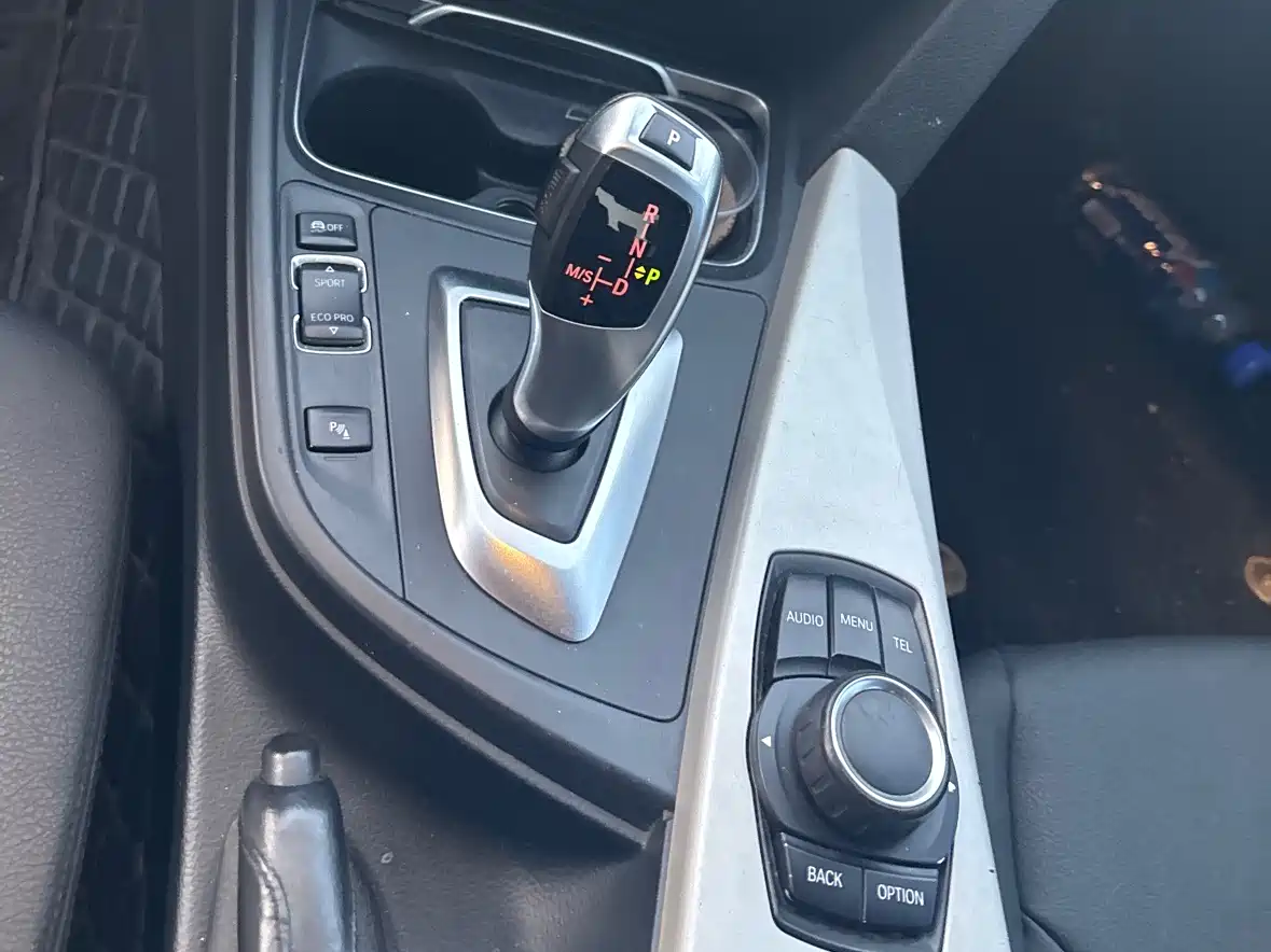 BMW 3 Series 2016 320Li Progressive фото 14