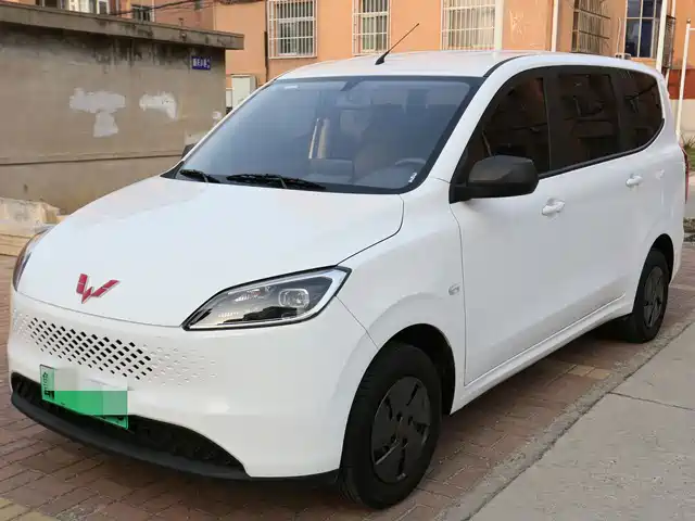 WULING WULING HONGGUANG NEW ENERGY