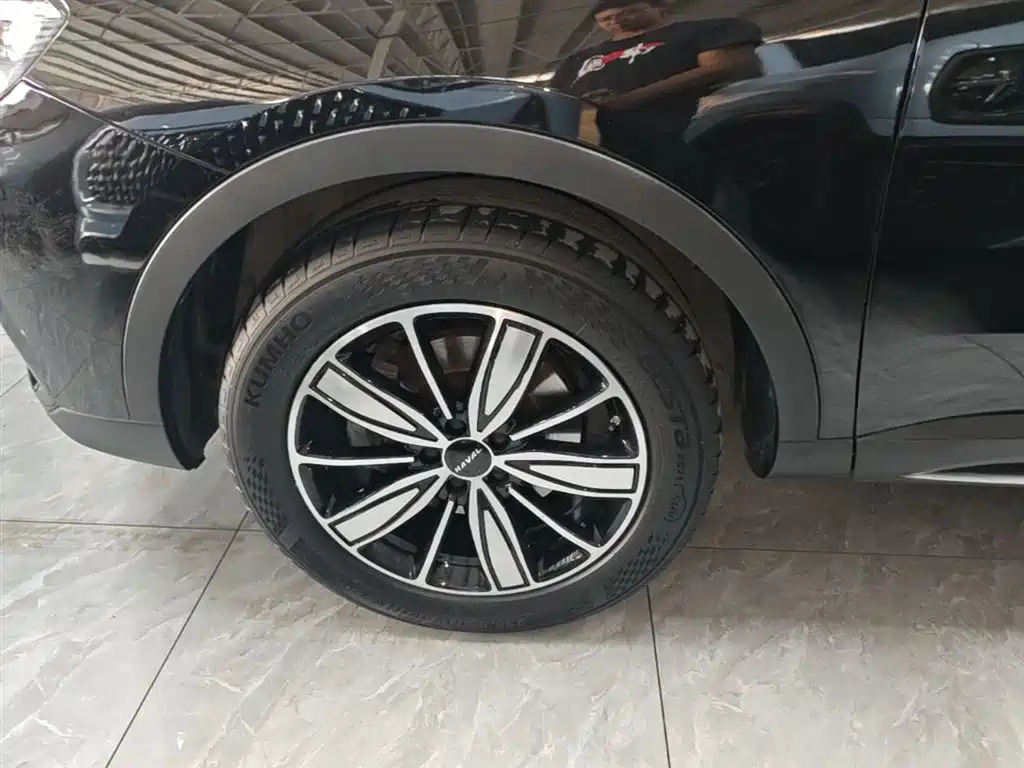Haval H6 2023 National Trend Edition 1.5T Automatic Champion фото 23