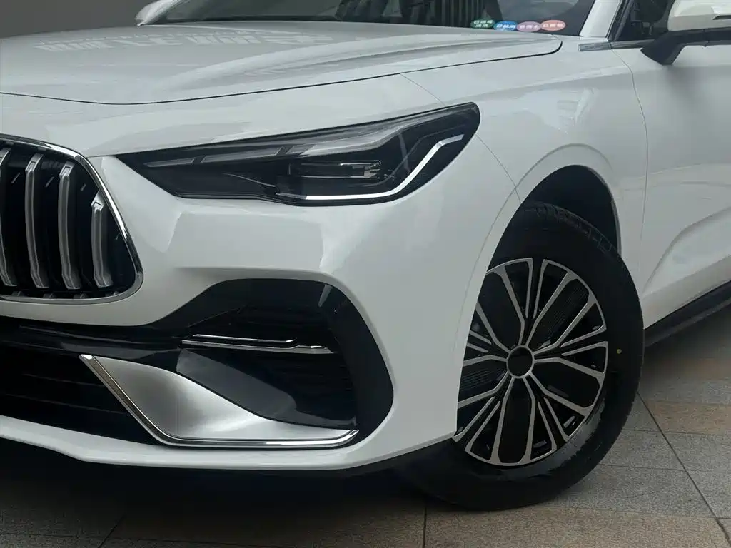 Geely Galaxy Galaxy Stellar 6 2025 Model 60km Free Edition фото 21