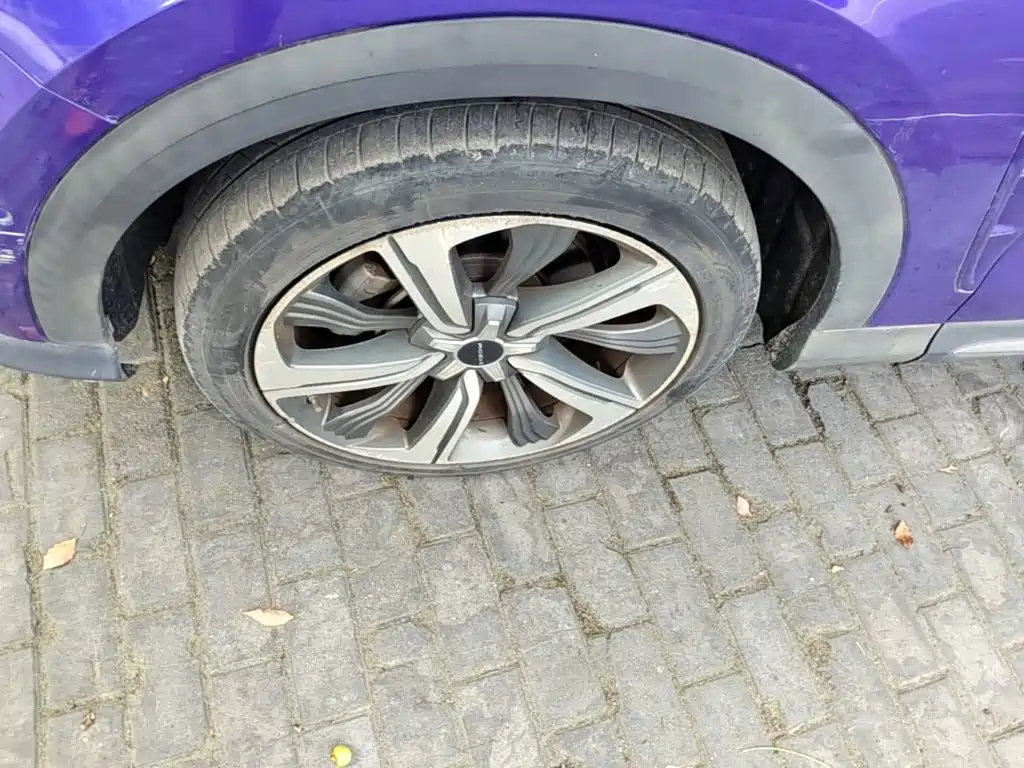 Roewe MARVEL X 2020 2018 Rear-Wheel Drive Version