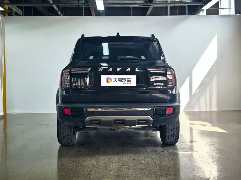 HAVAL BIG DOG