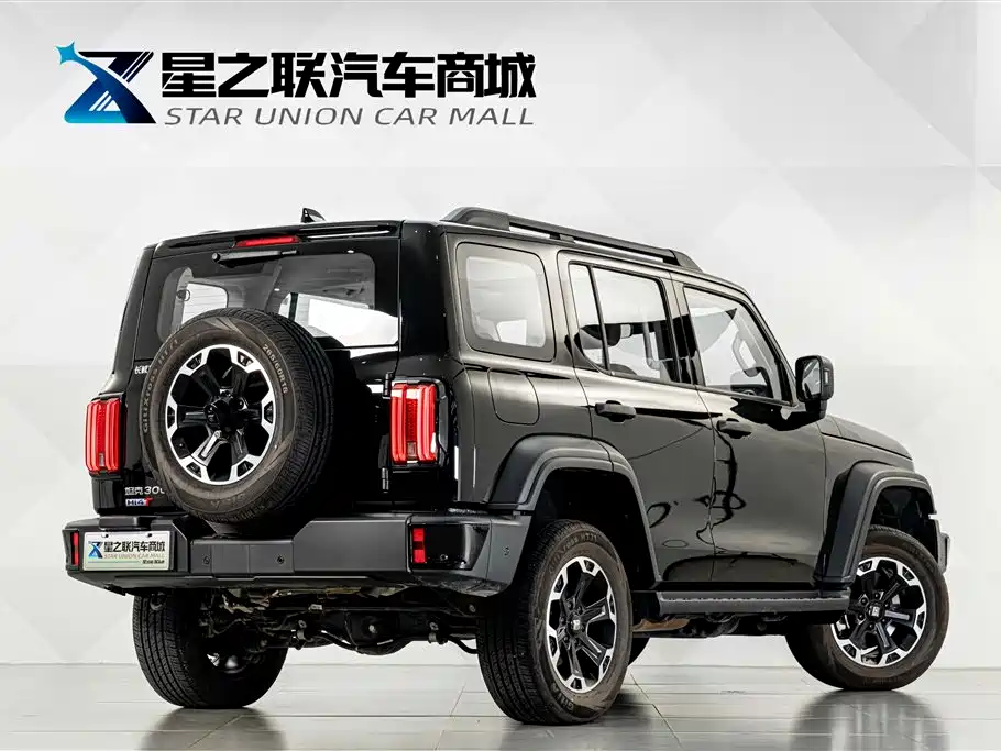 Tank 300 New Energy 2025 2025 Hi4-T 36.7kWh Edition