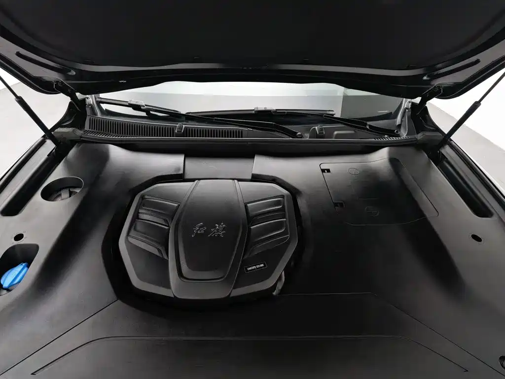 Фото 6 - Hongqi HS5
