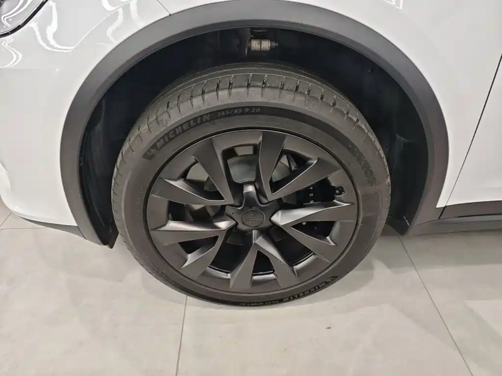 Фото 23 - Tesla Model X