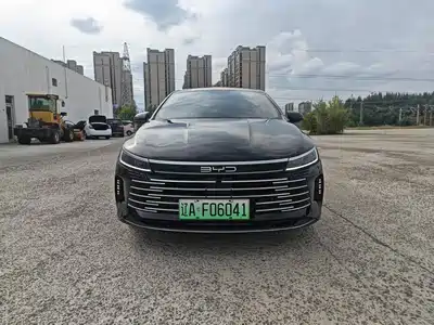 BYD Destroyer 05