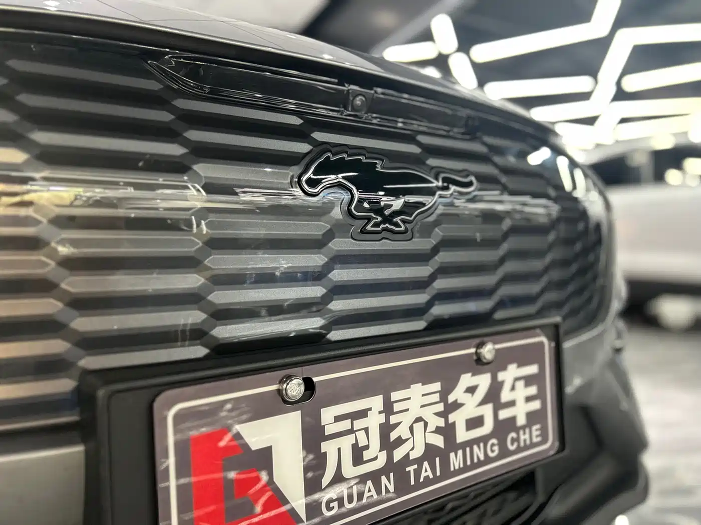 Ford Mustang Mach-E 2022 2021 Leap World RWD (Standard Range)