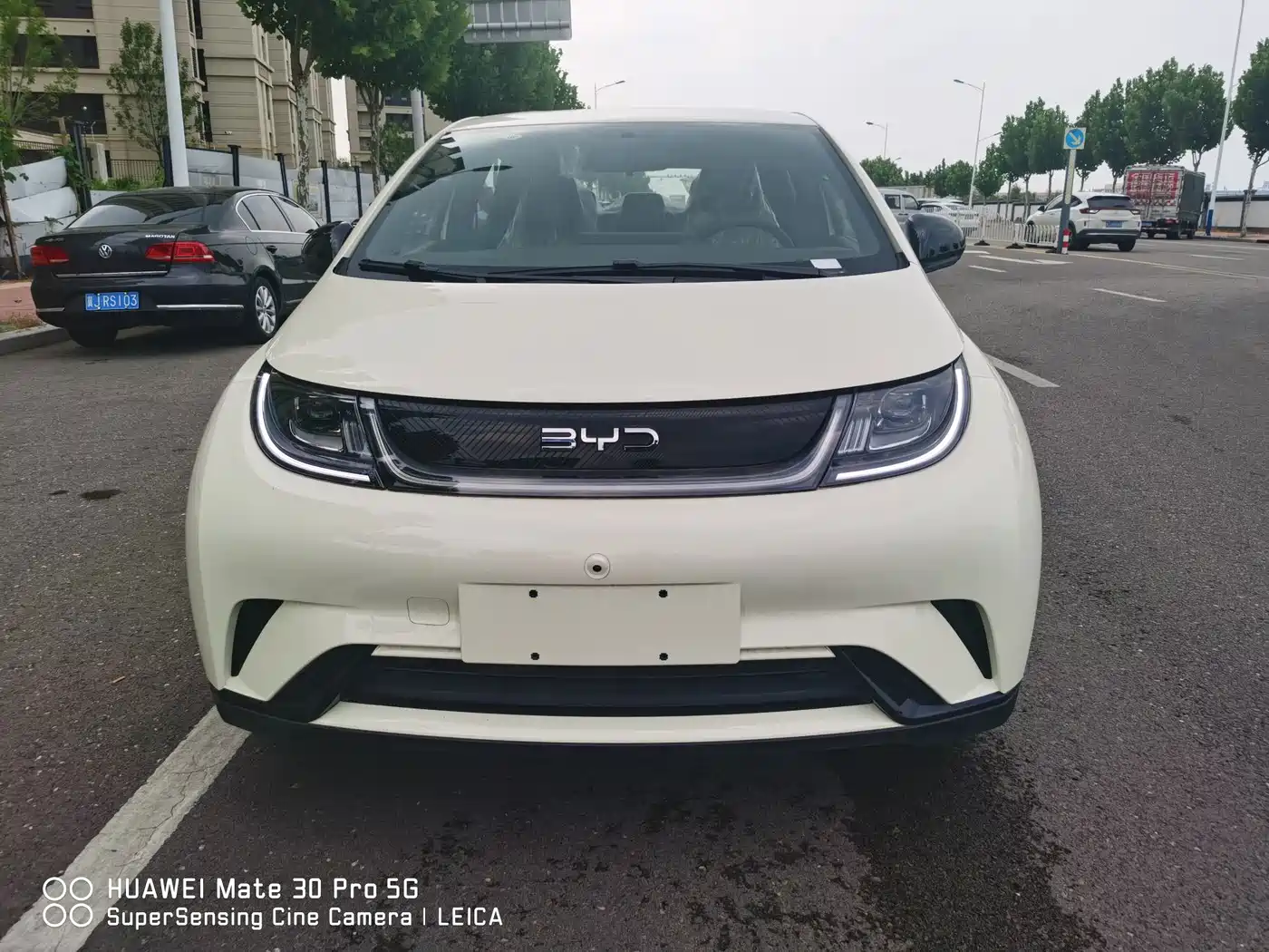 BYD Dolphin 2026 2025 420km Freedom Edition