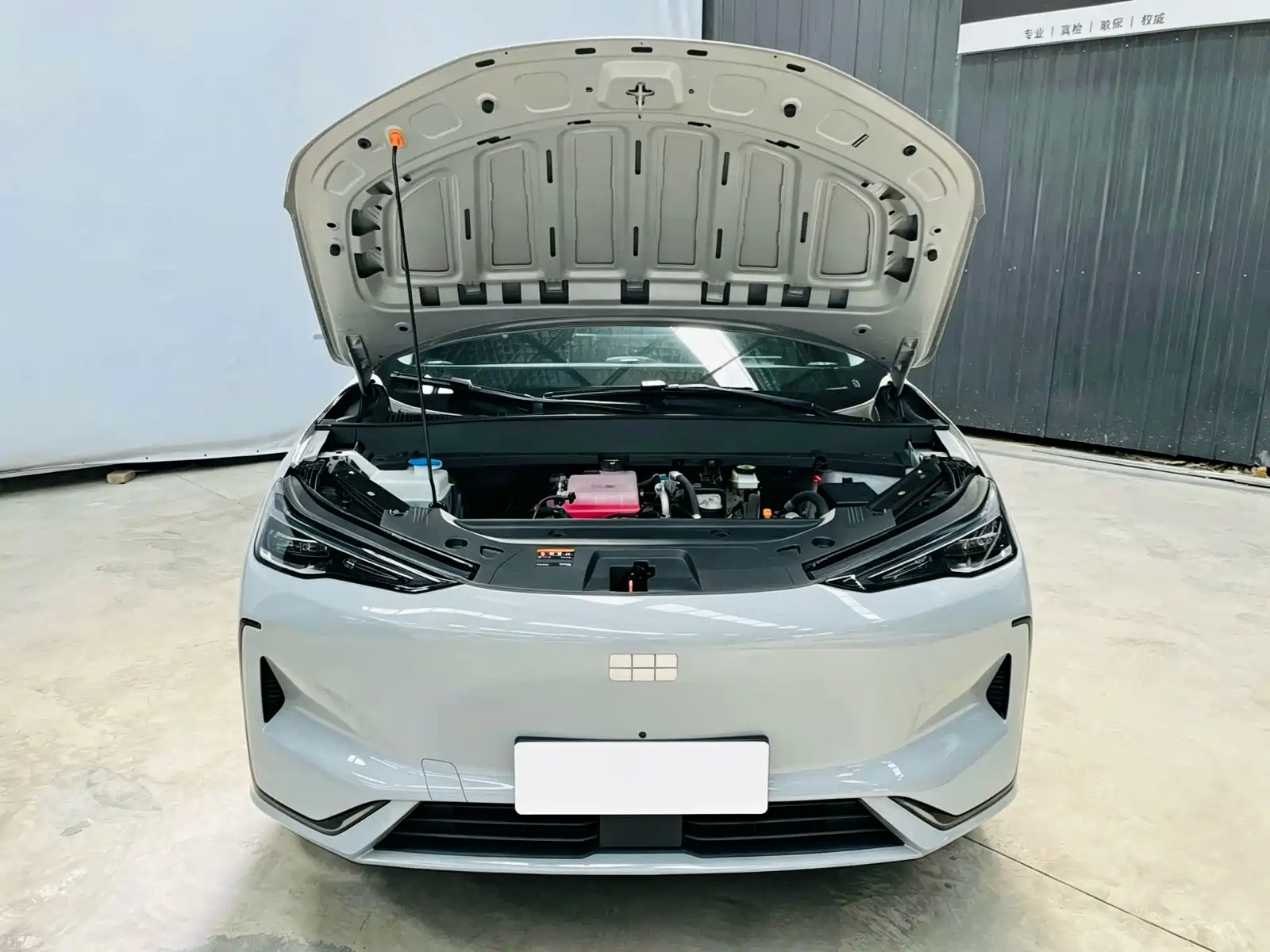 Фото 26 - Geely Galaxy Galaxy E5