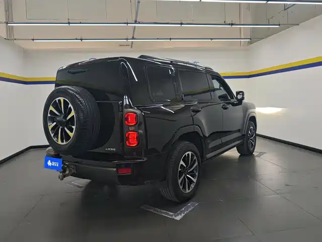 Haval H9 2024 2.0T Gasoline AWD Extreme Edition — фото 3