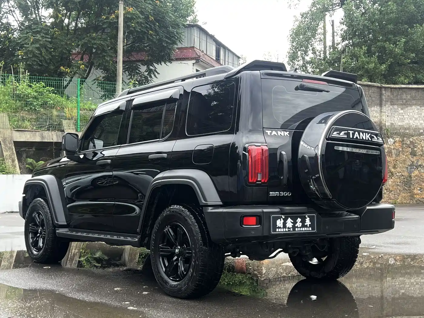 Tank 300 2021 2021 Off-road Version 2.0T Conqueror