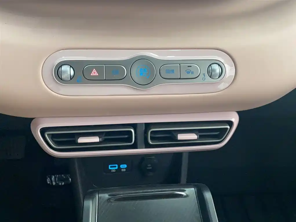BYD Seagull 2026 2025 Smart Drive Edition 305km Vitality Version