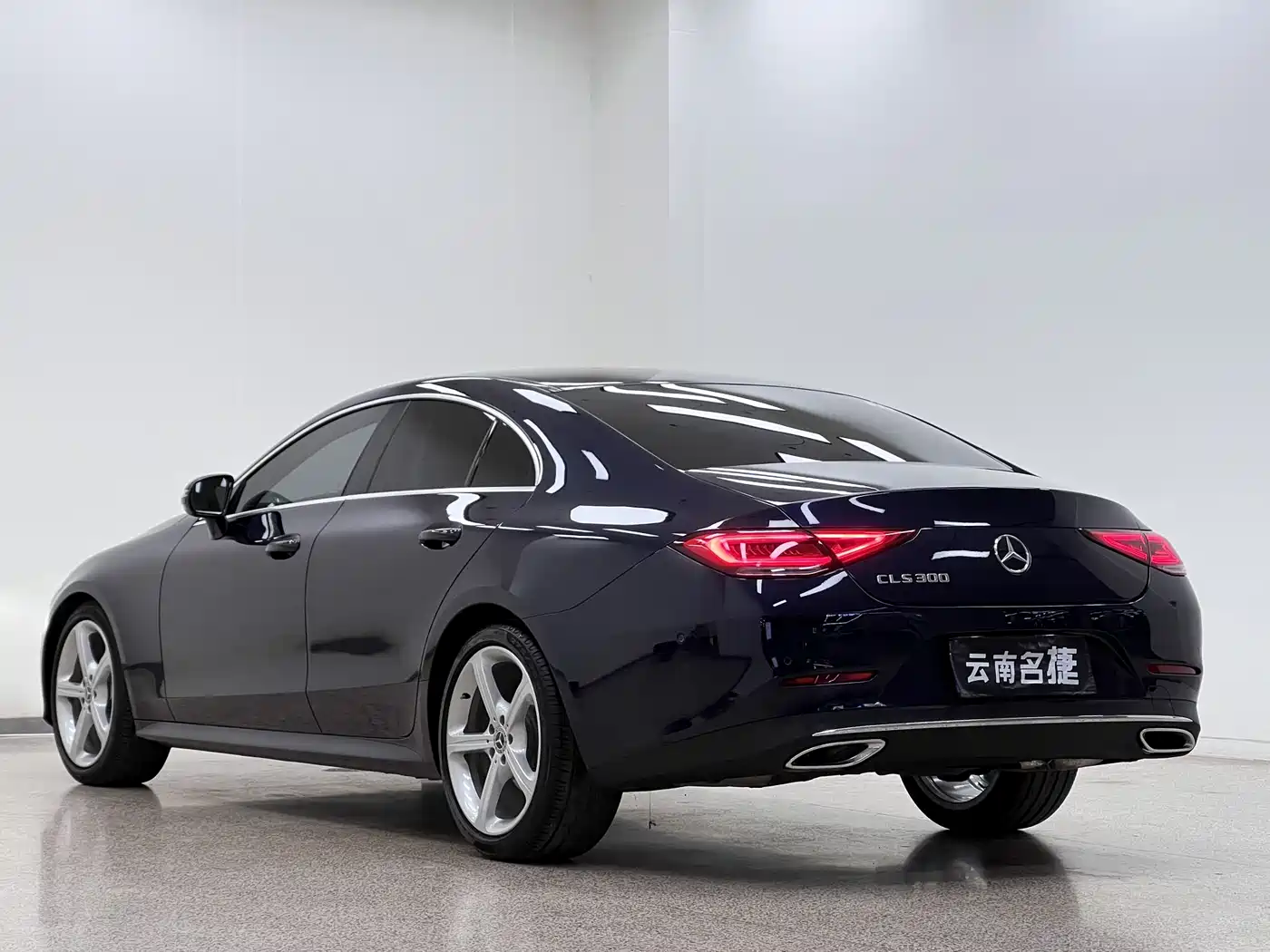 Mercedes-Benz CLS 2018 CLS 300 Dynamic фото 5