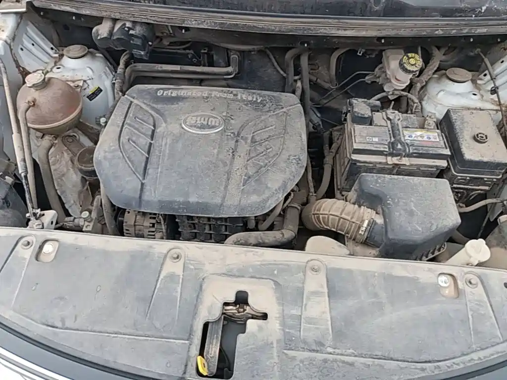 صورة 20 - SWM Motor SWM X3