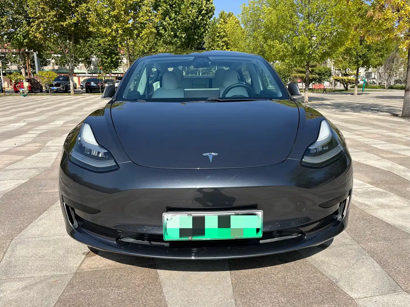 Tesla Model 3 2020 2020 Standard Range Rear-Wheel Drive Upgrade