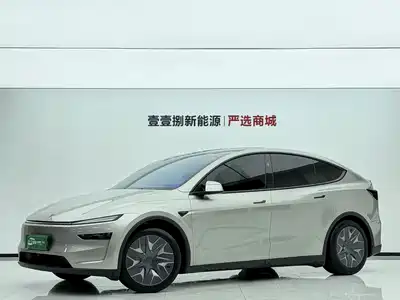 Tesla Model Y L